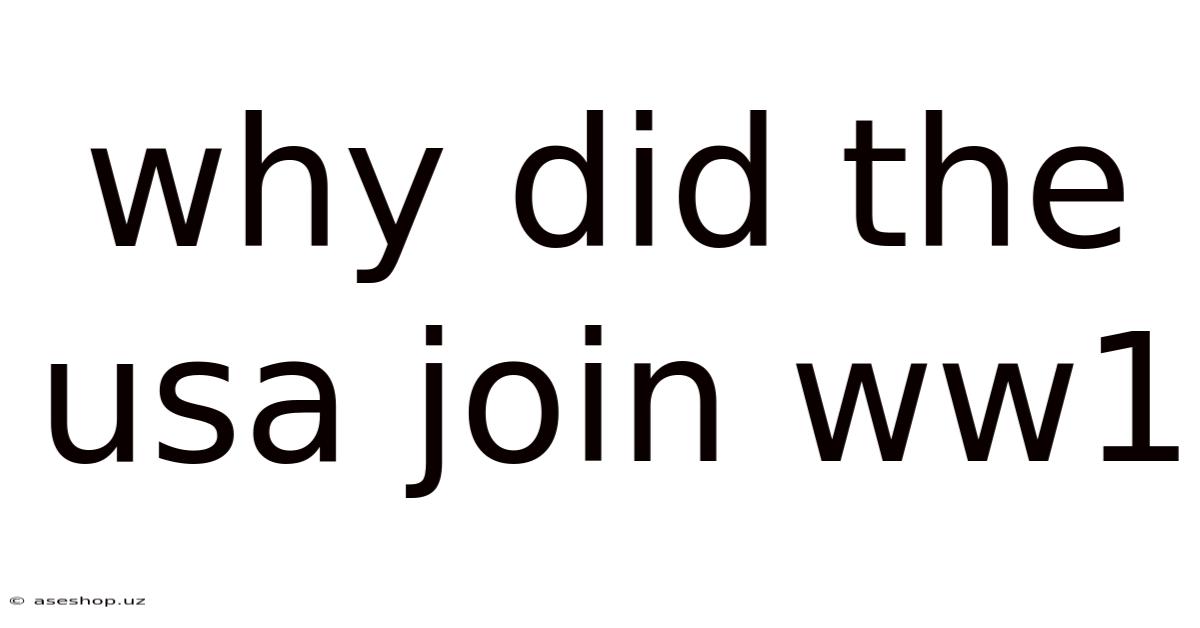 Why Did The Usa Join Ww1