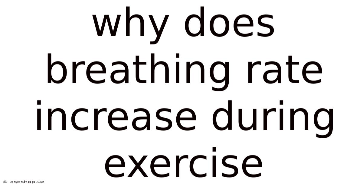 Why Does Breathing Rate Increase During Exercise