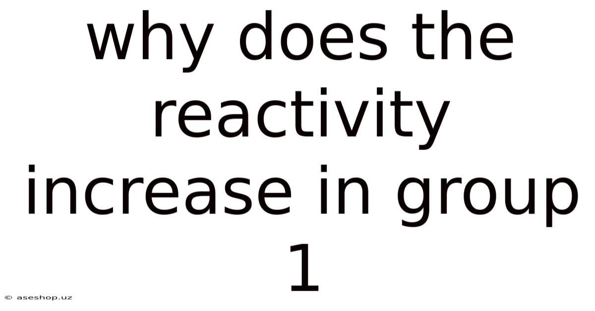 Why Does The Reactivity Increase In Group 1