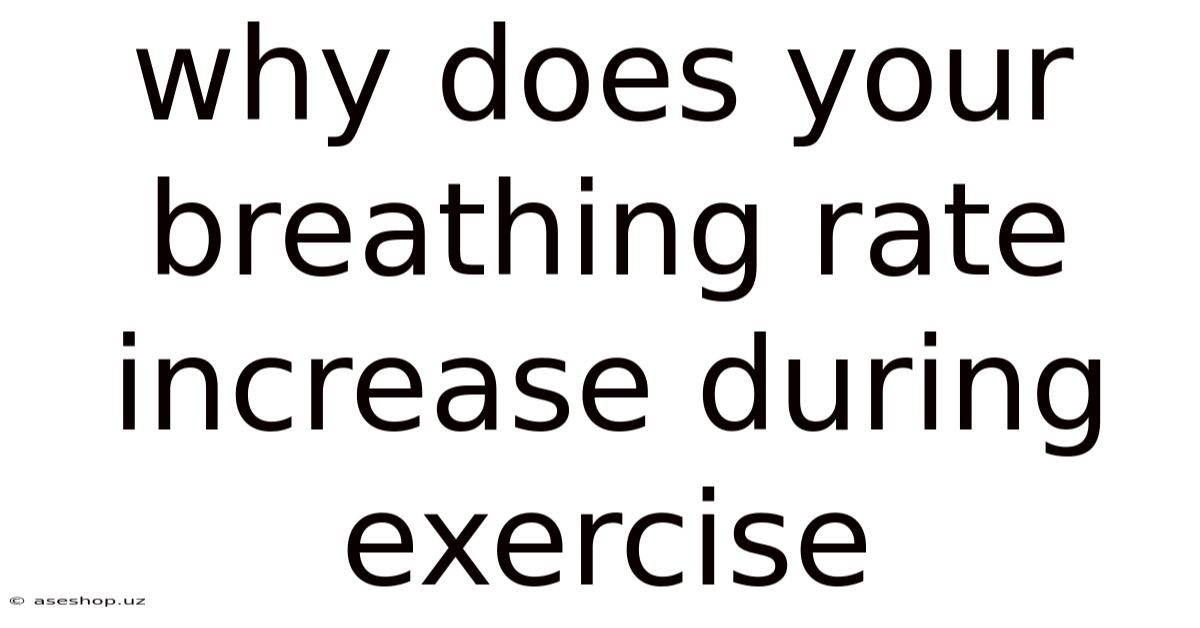 Why Does Your Breathing Rate Increase During Exercise