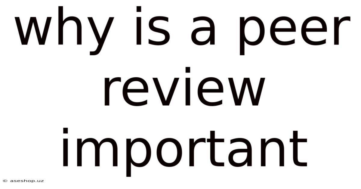 Why Is A Peer Review Important