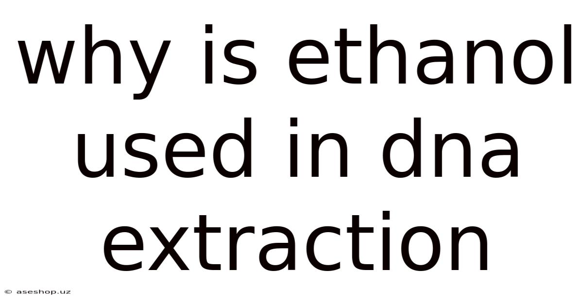 Why Is Ethanol Used In Dna Extraction