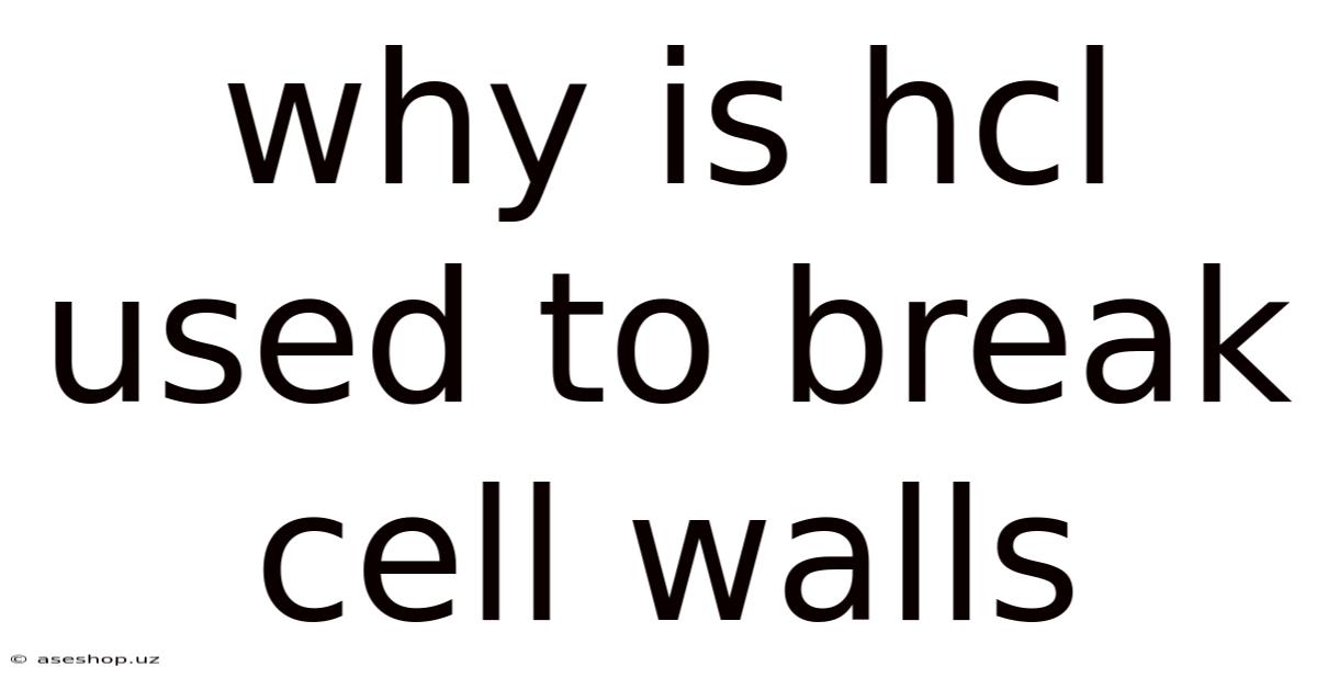 Why Is Hcl Used To Break Cell Walls