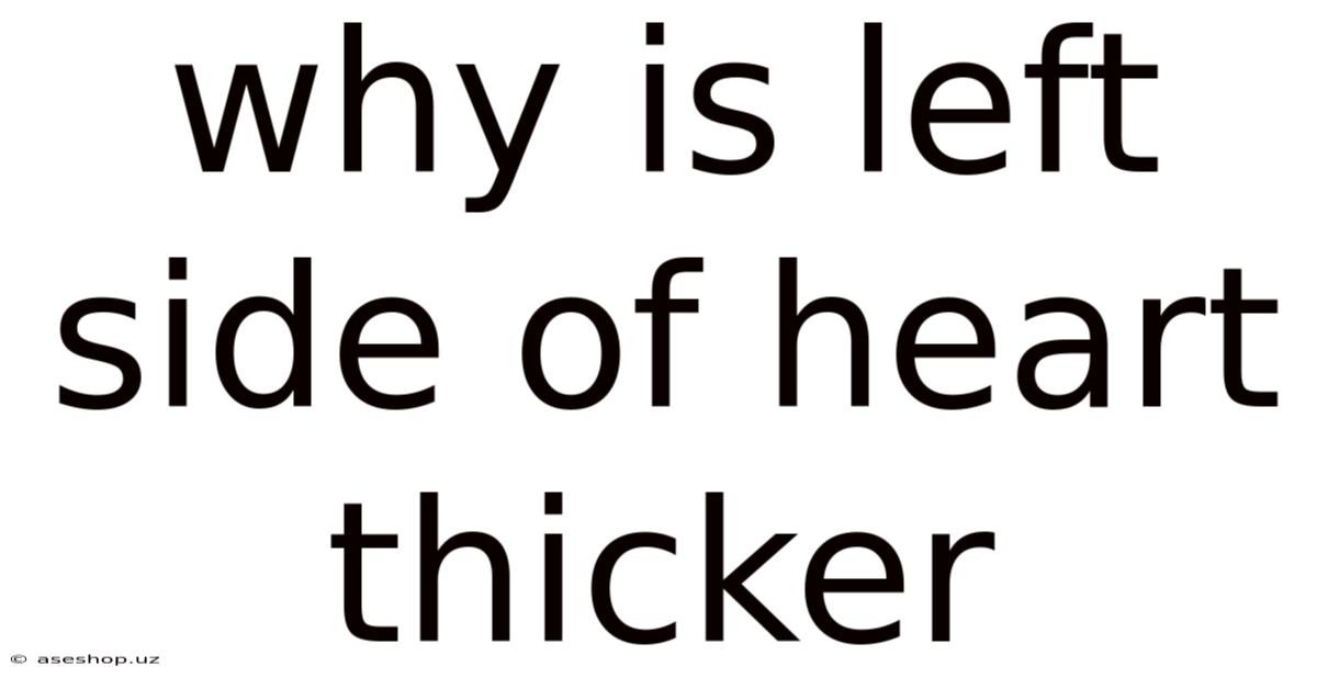 Why Is Left Side Of Heart Thicker