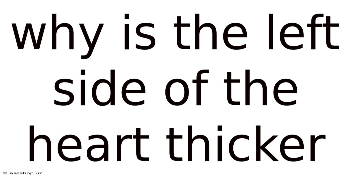 Why Is The Left Side Of The Heart Thicker