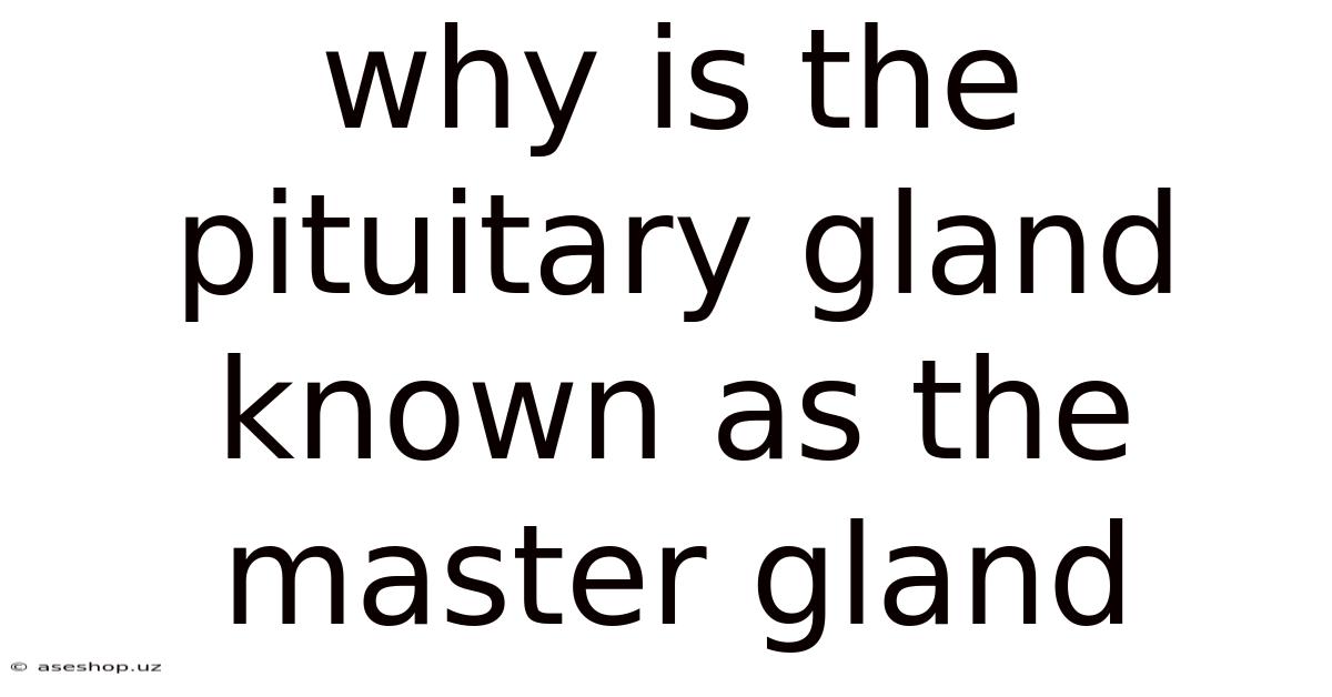 Why Is The Pituitary Gland Known As The Master Gland