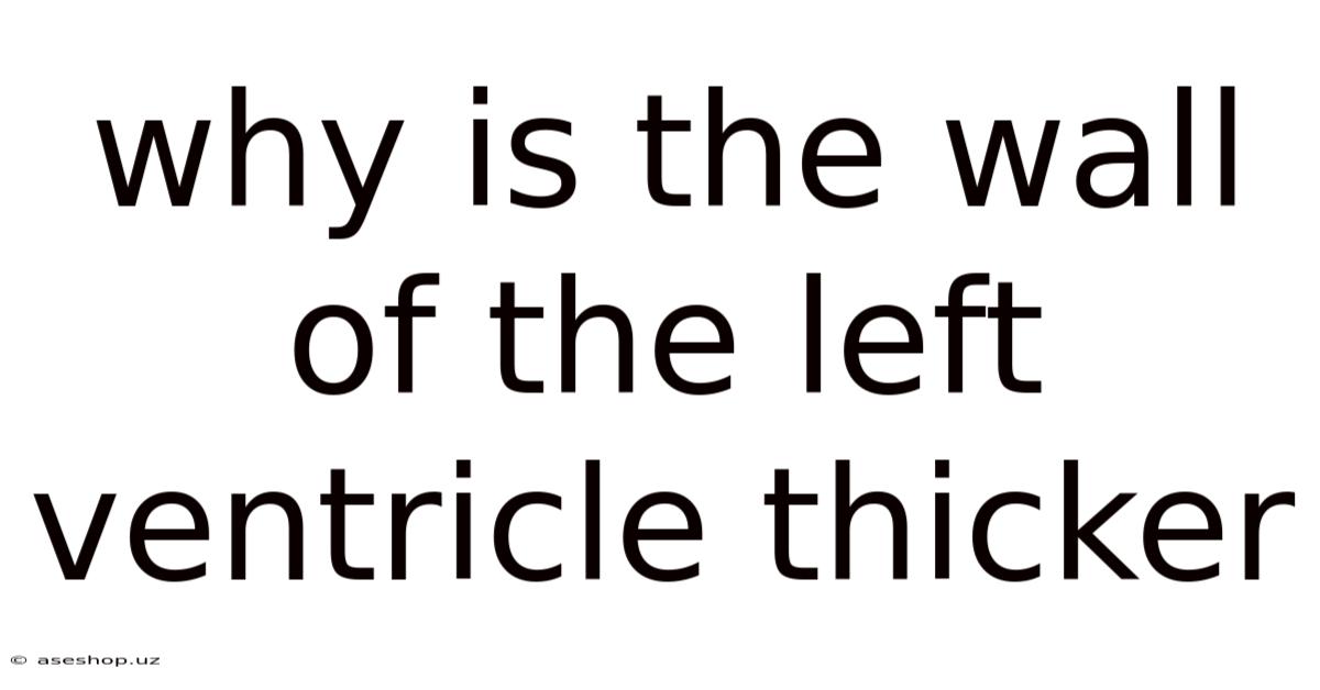 Why Is The Wall Of The Left Ventricle Thicker