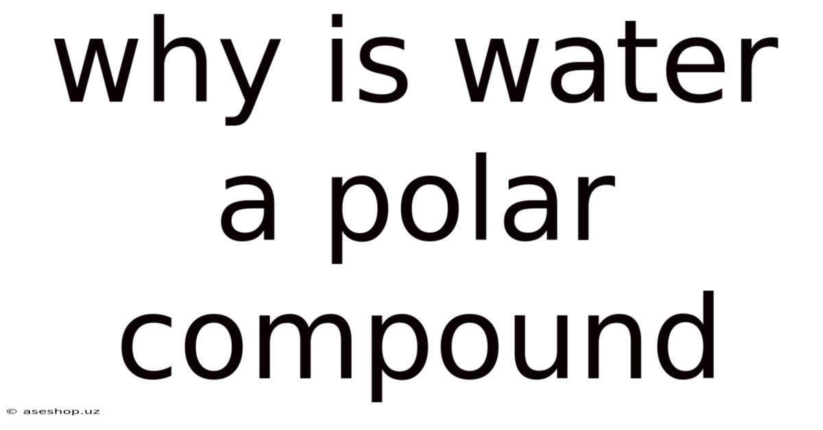 Why Is Water A Polar Compound