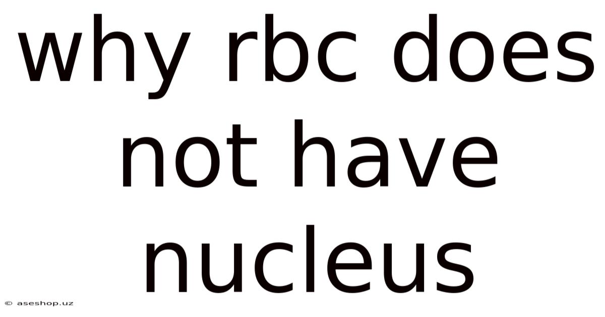 Why Rbc Does Not Have Nucleus