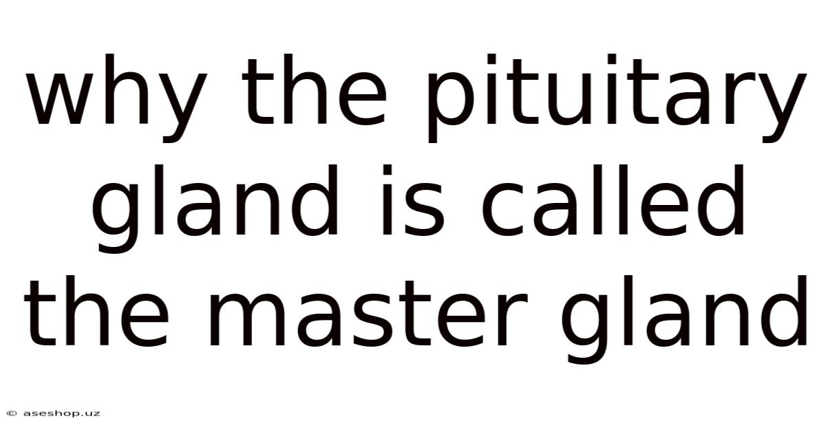 Why The Pituitary Gland Is Called The Master Gland