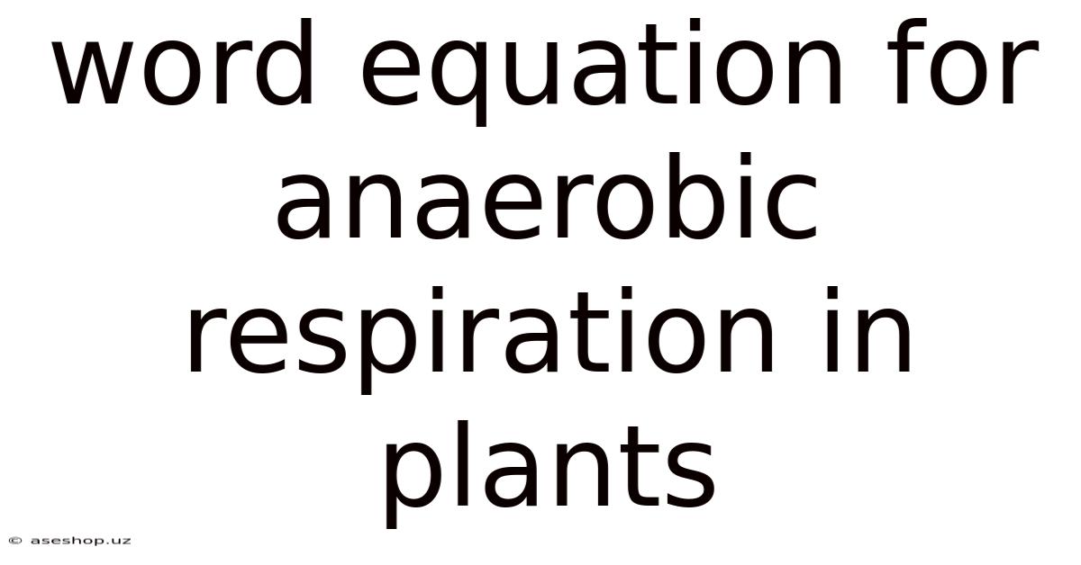 Word Equation For Anaerobic Respiration In Plants