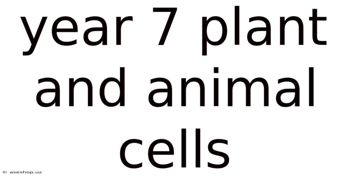Year 7 Plant And Animal Cells