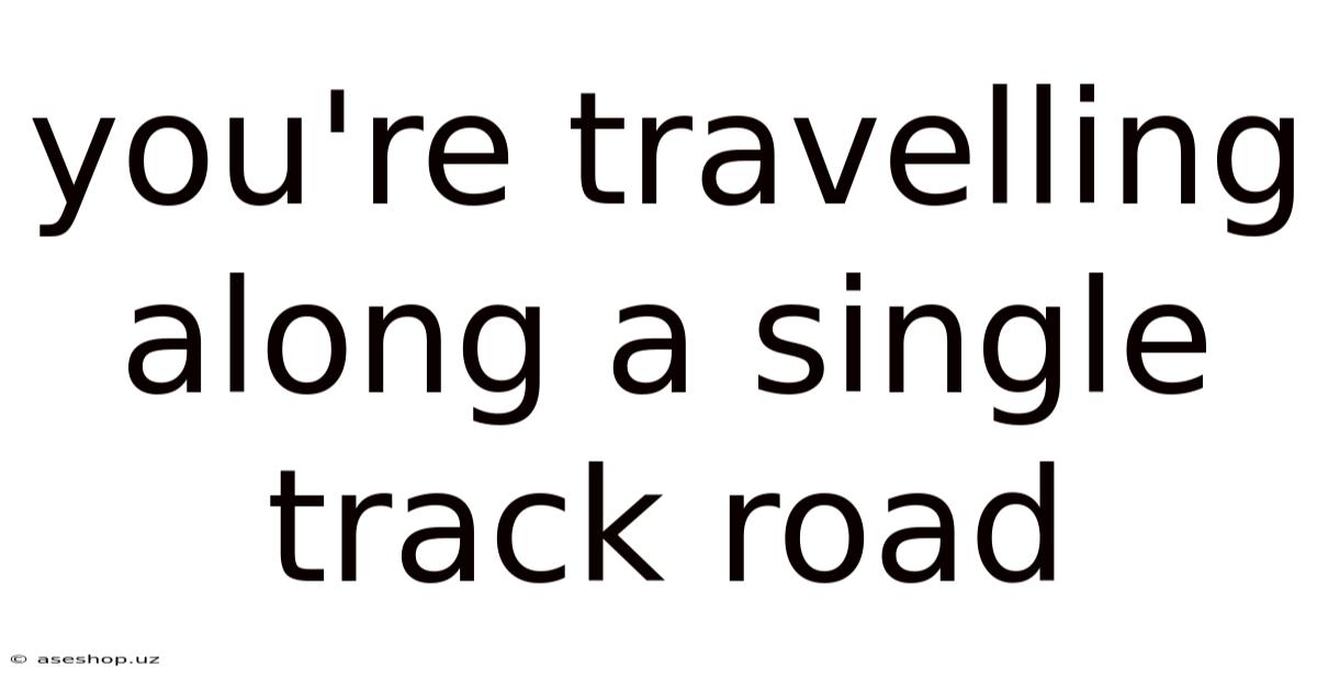 You're Travelling Along A Single Track Road